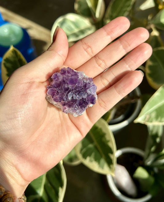 Amethyst Cluster