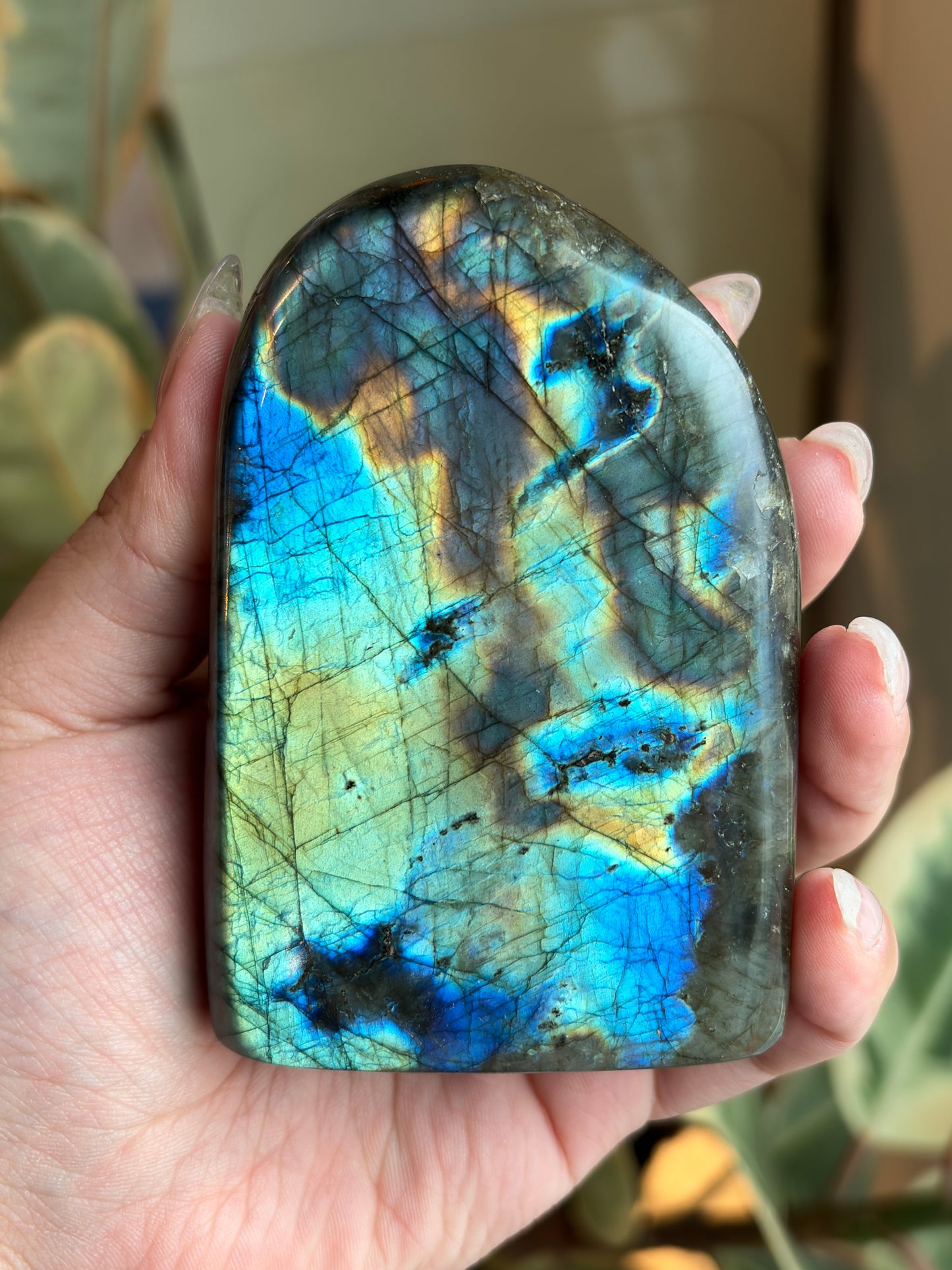 Labradorite Freeform LB15