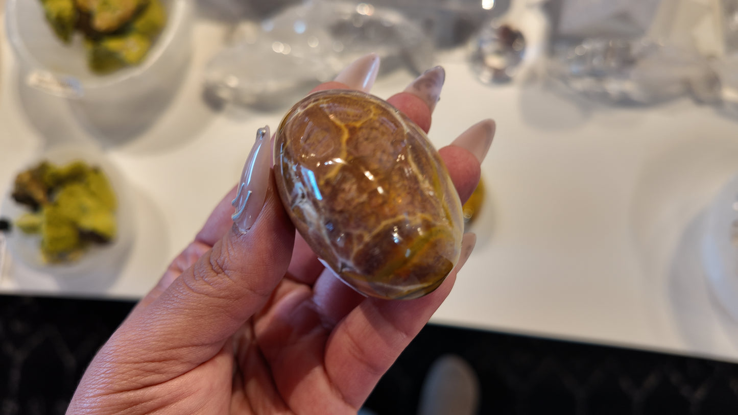 Ocean Jasper Palm Stone