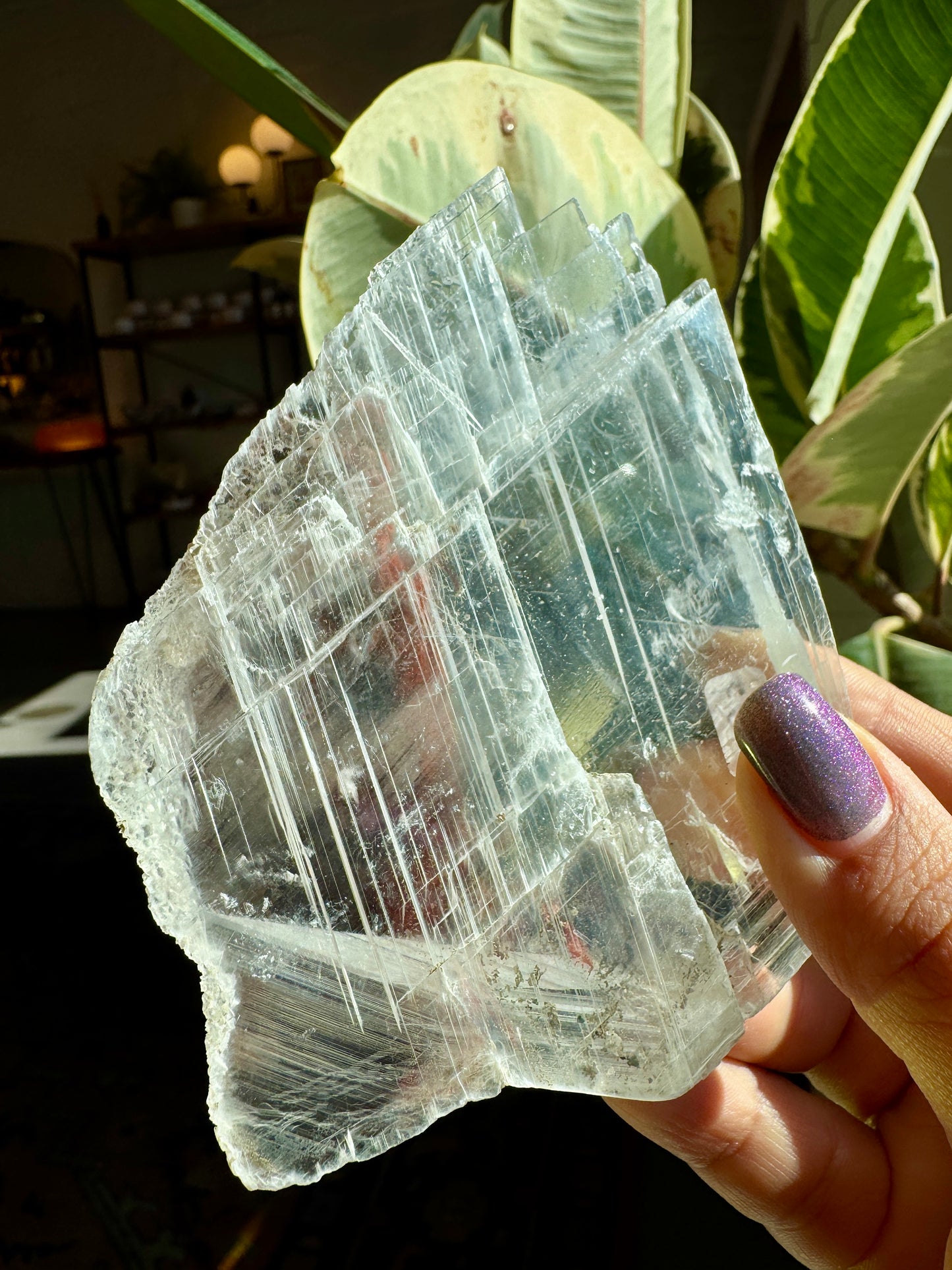 Gypsum Selenite Slab #3