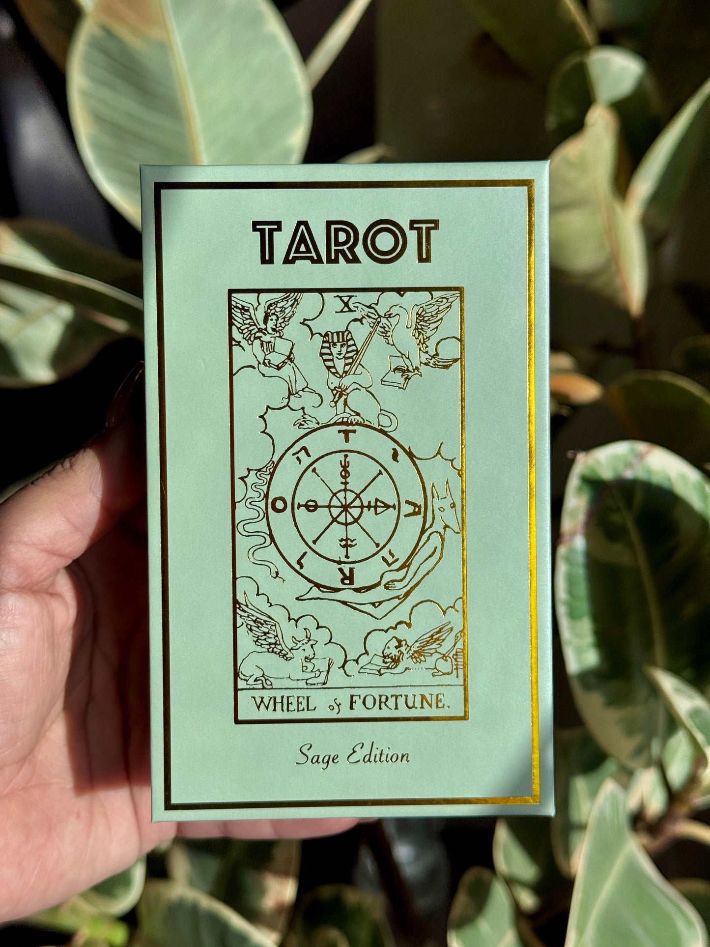 Sage Gold Tarot Deck and Guide | Classic Tarot Design and Gold Foil