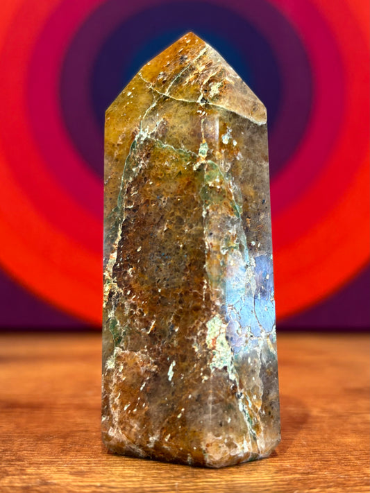 Quantum Quattro Point