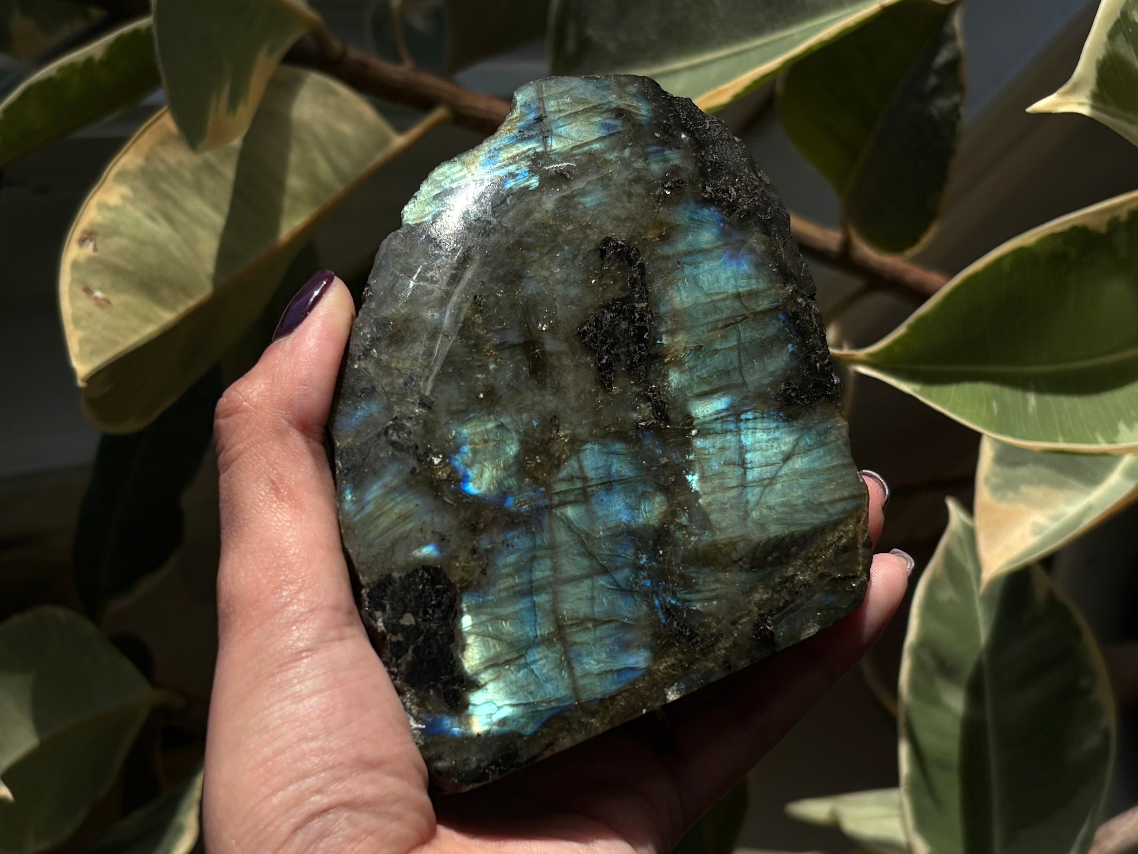 Large Labradorite Half Polished Freeform from Finland