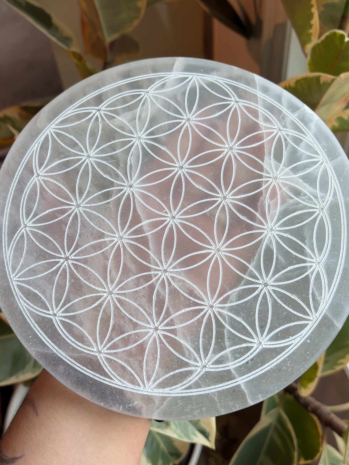 Extra Large Selenite Flower Of Life Charging Plate