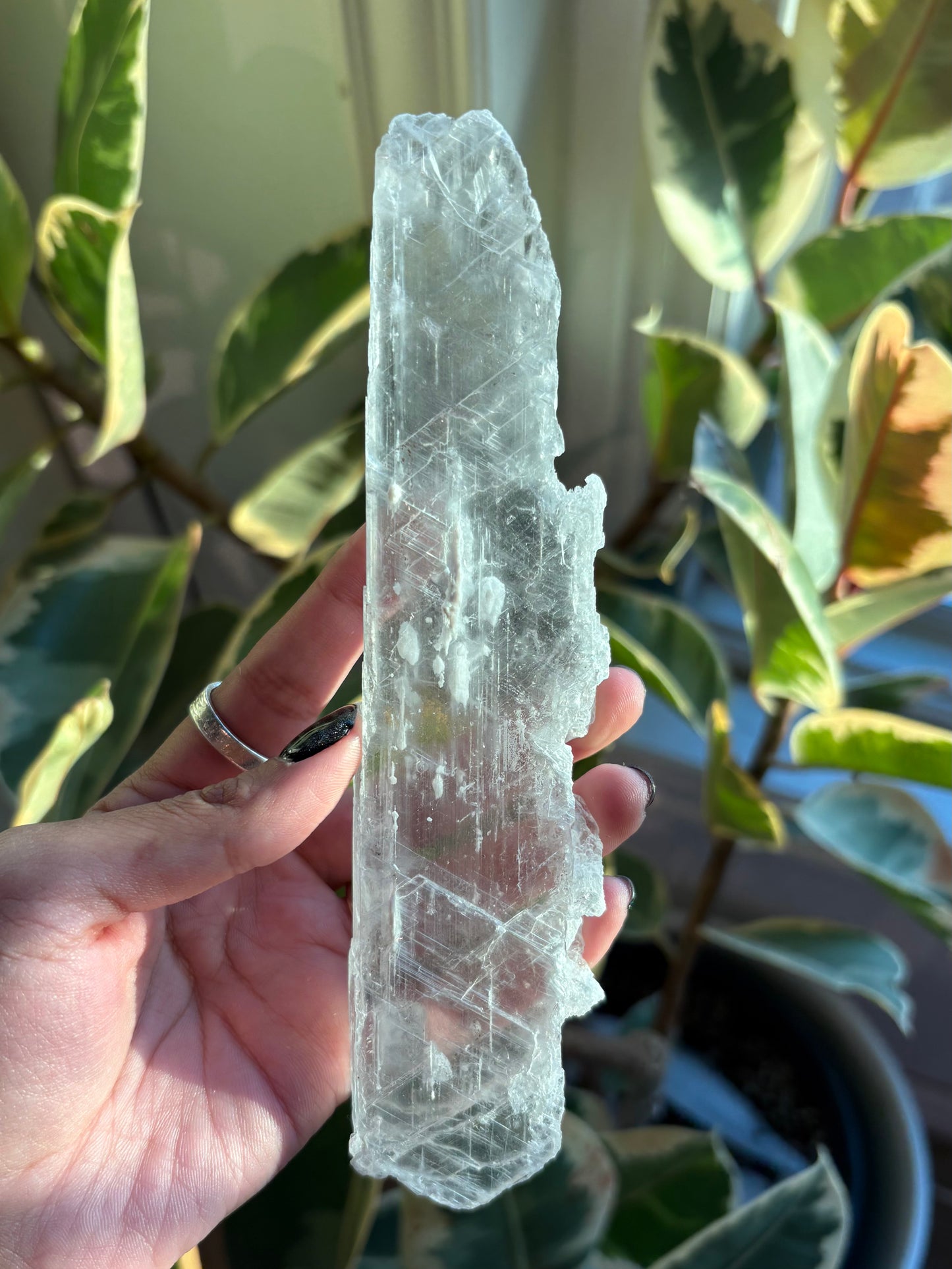 Gypsum Selenite