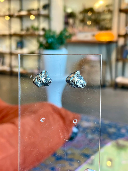 Meteorite Star Earrings