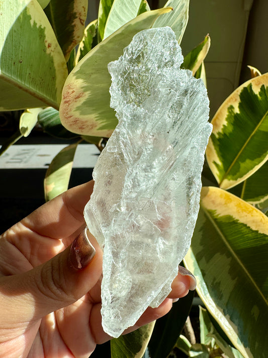 Raw Gypsum Selenite #5