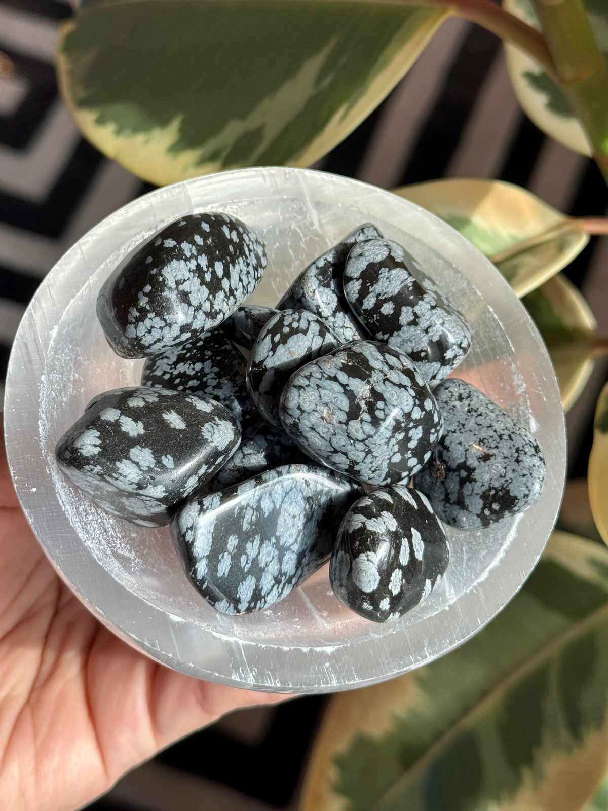 High Grade Snow Flake Obsidian