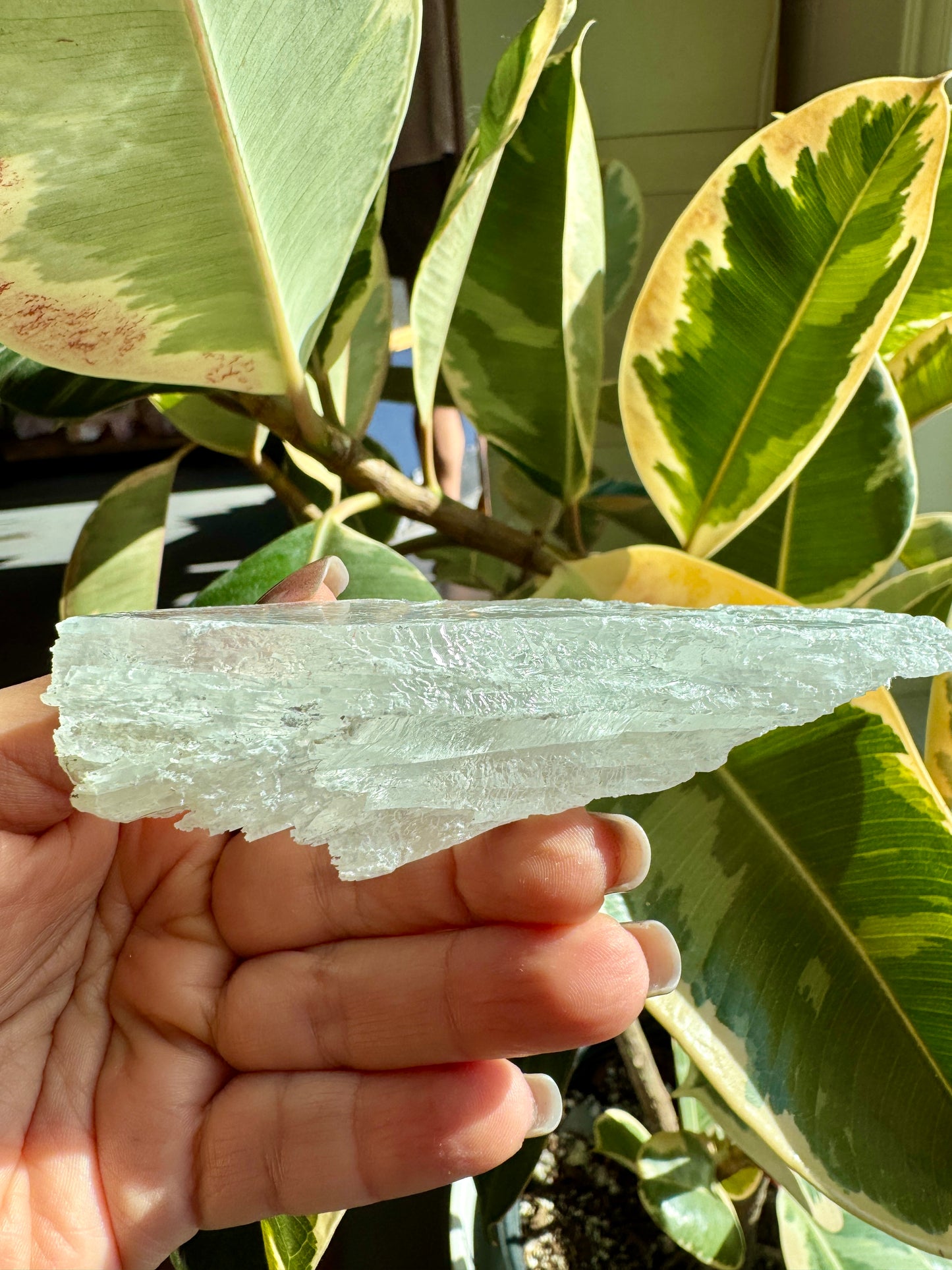 Raw Gypsum Selenite #5