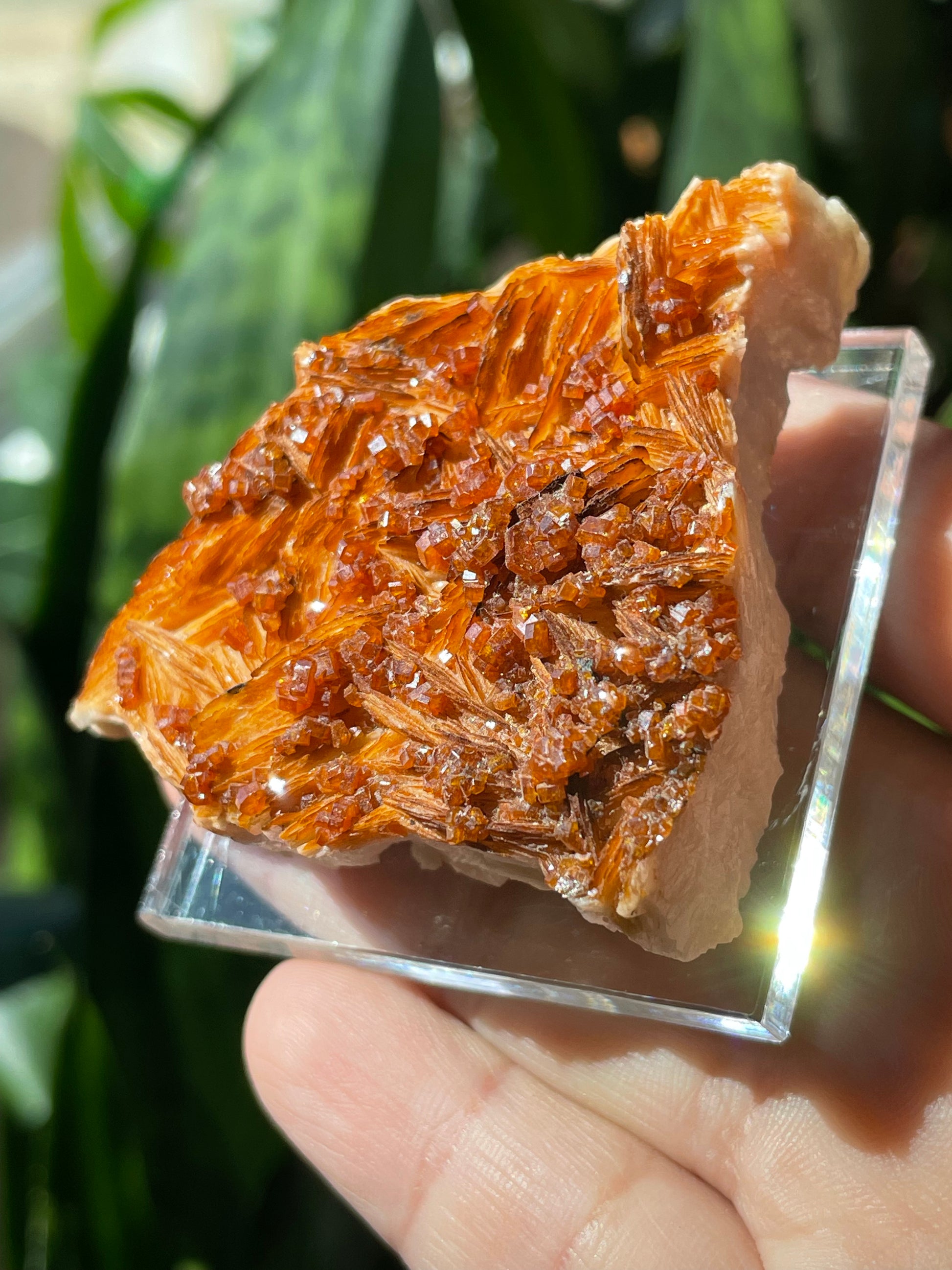 Vanadinite Cluster - VAN003 - Luna Metaphysical