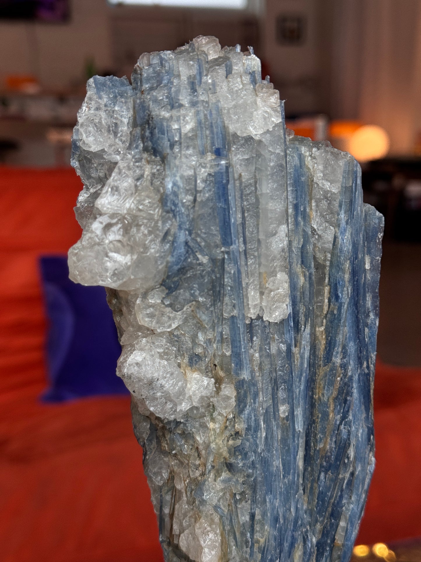 Blue Kyanite with Quartz on Custom Stand