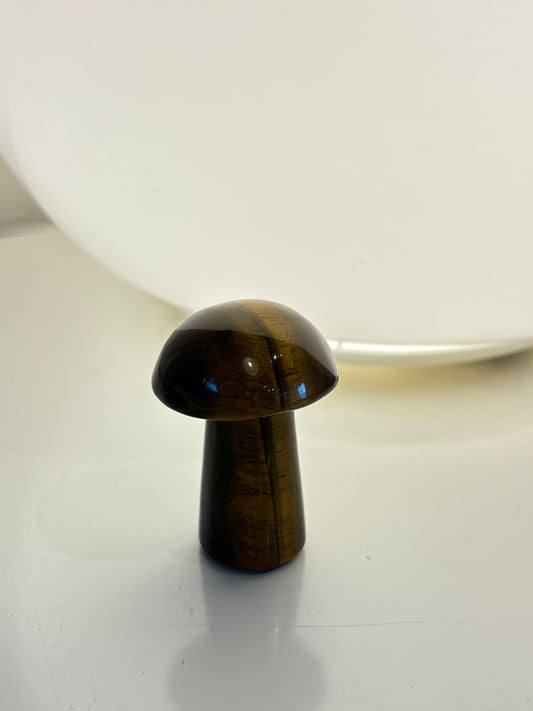 Tigers Eye Mushroom