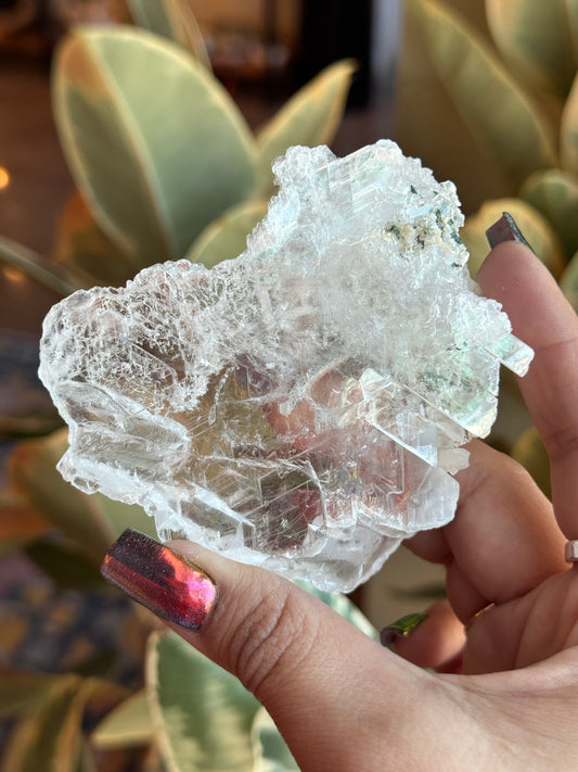 Gypsum Selenite