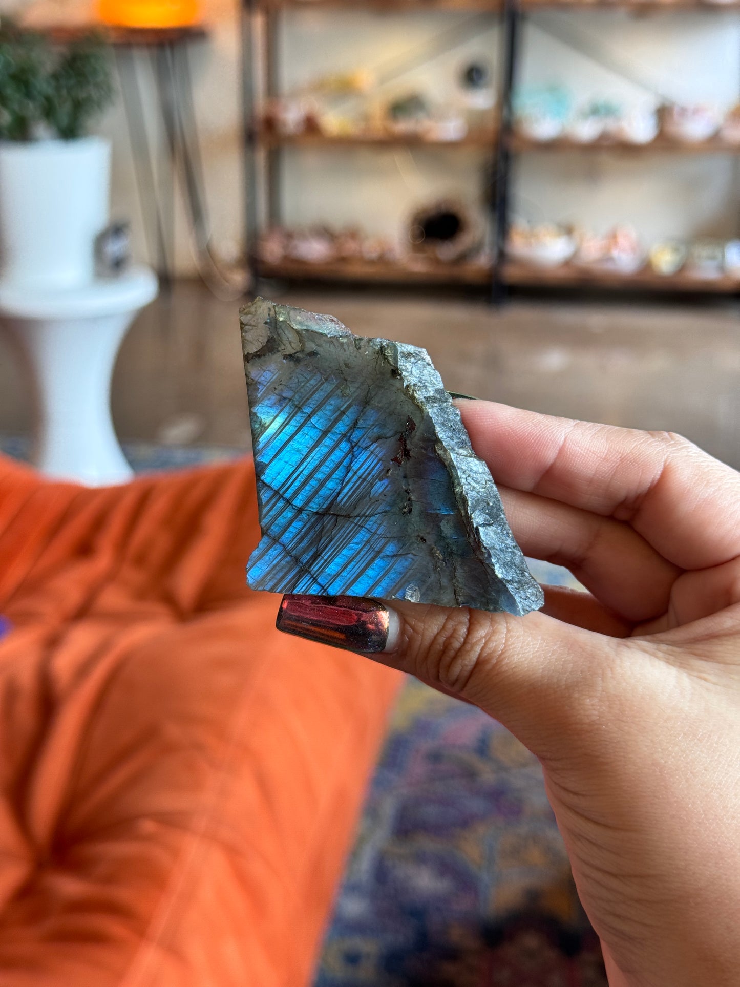 Labradorite Half Polished Mini Slabs