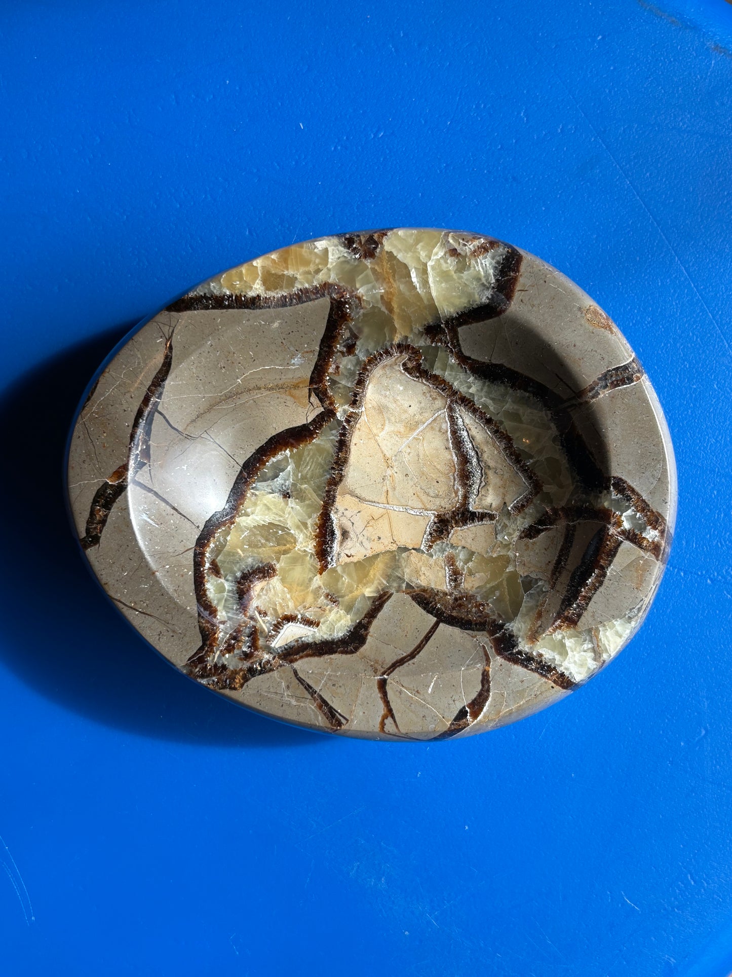 Septarian Bowl