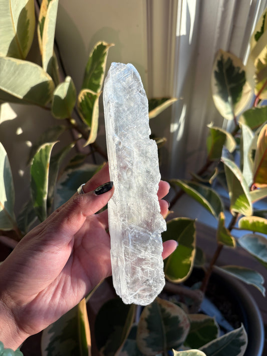 Gypsum Selenite