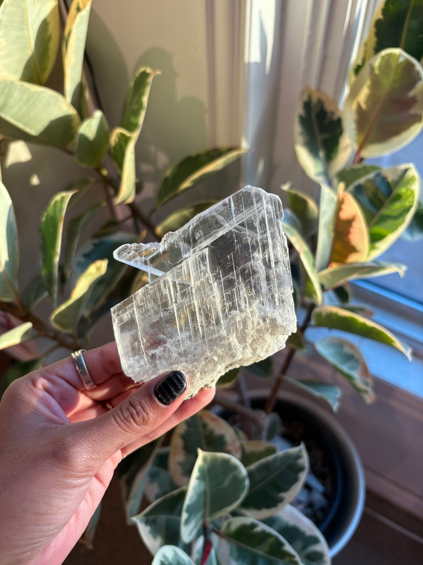 Gypsum Selenite