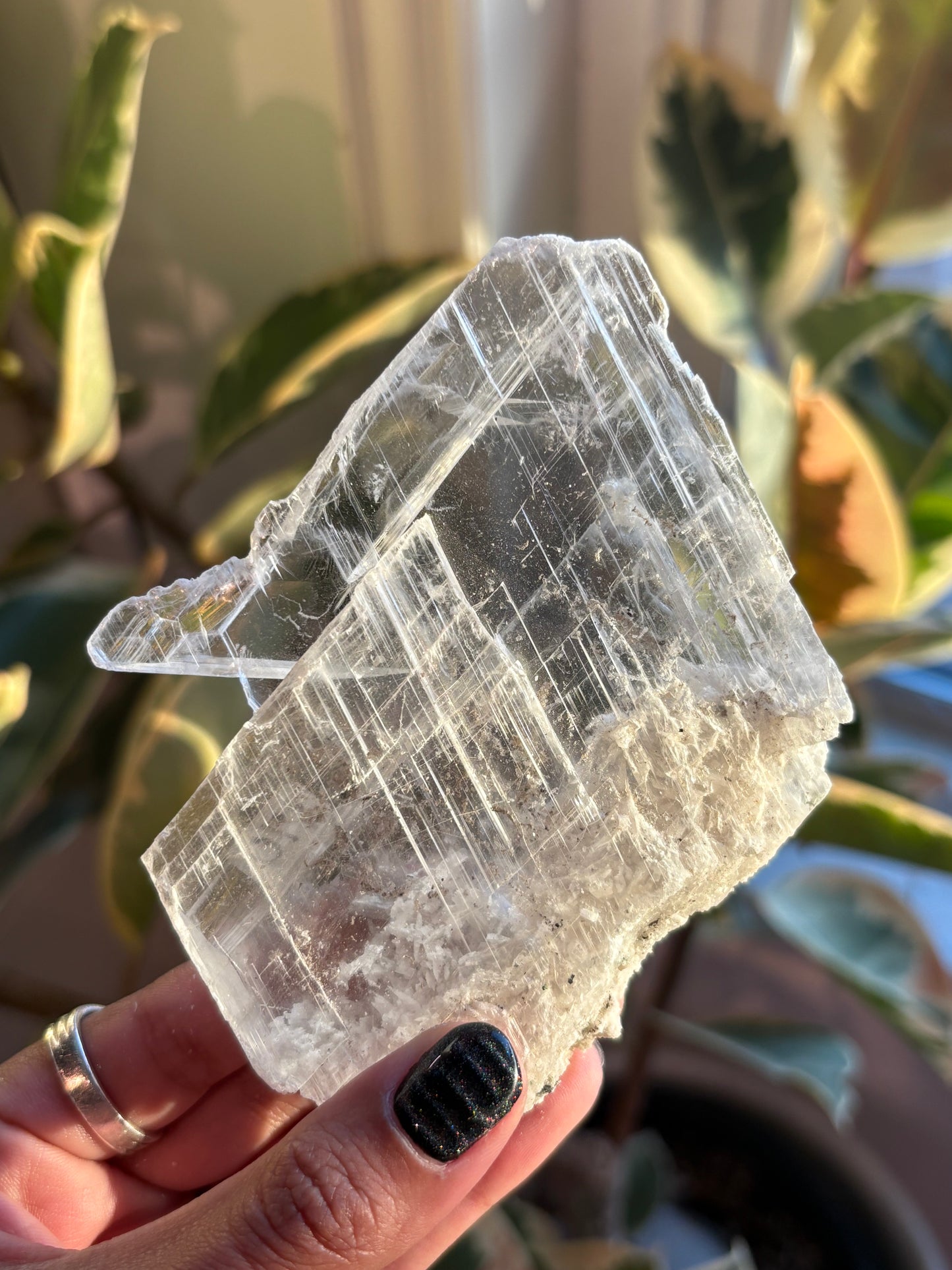 Gypsum Selenite