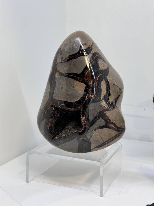 Septarian Druzy Freeform