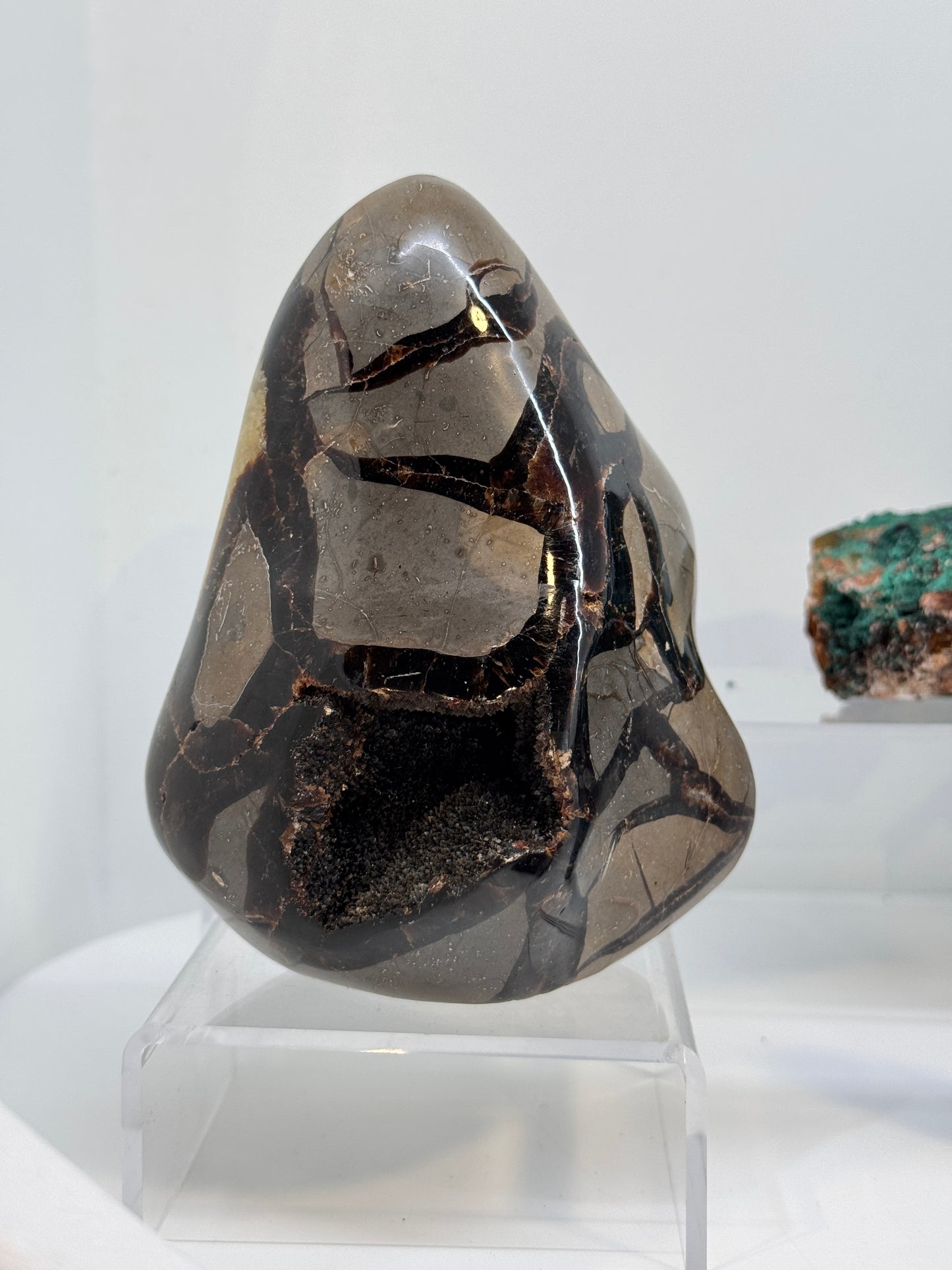 Septarian Druzy Freeform