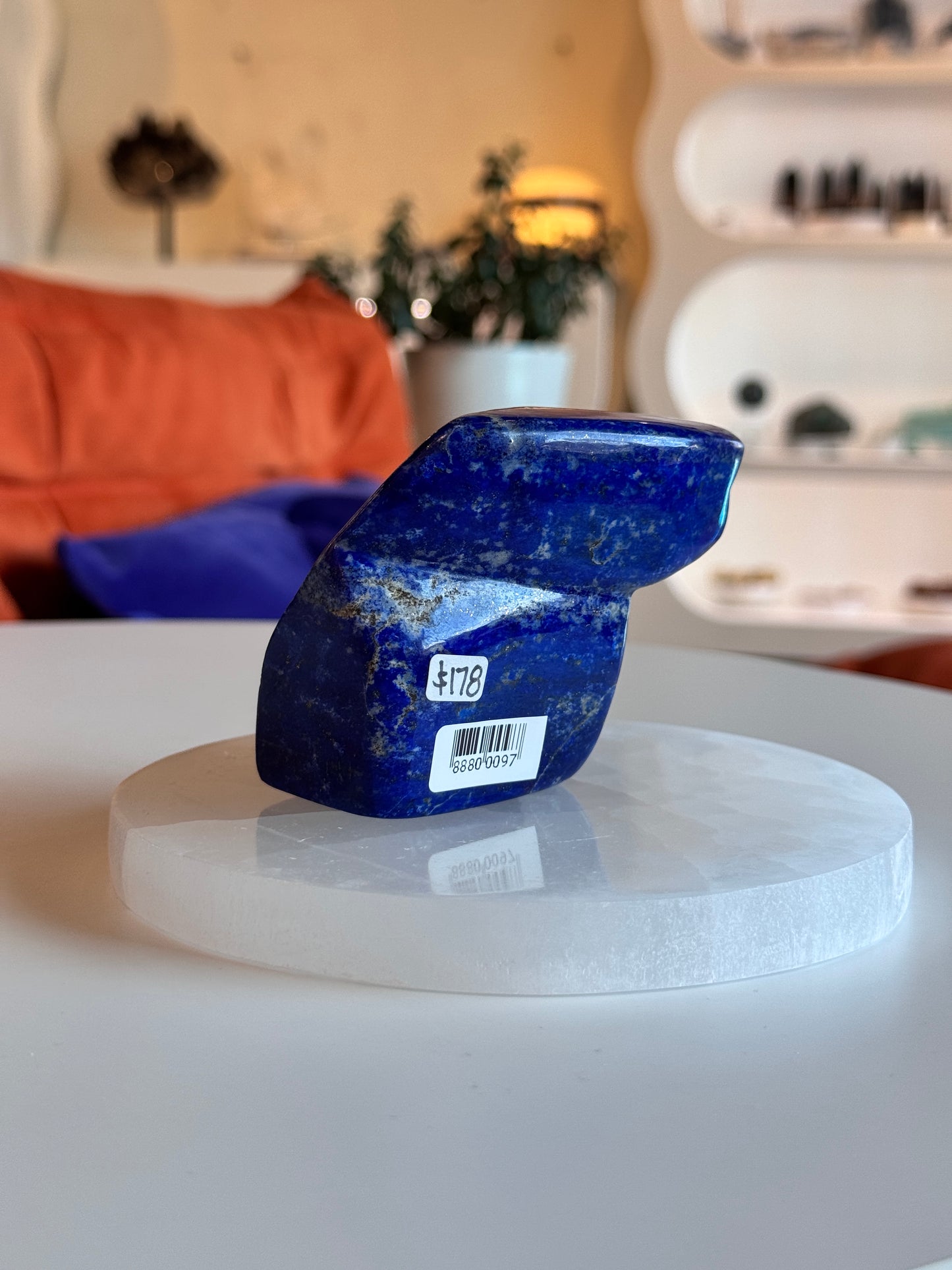 Polished Lapis Lazuli Freeform