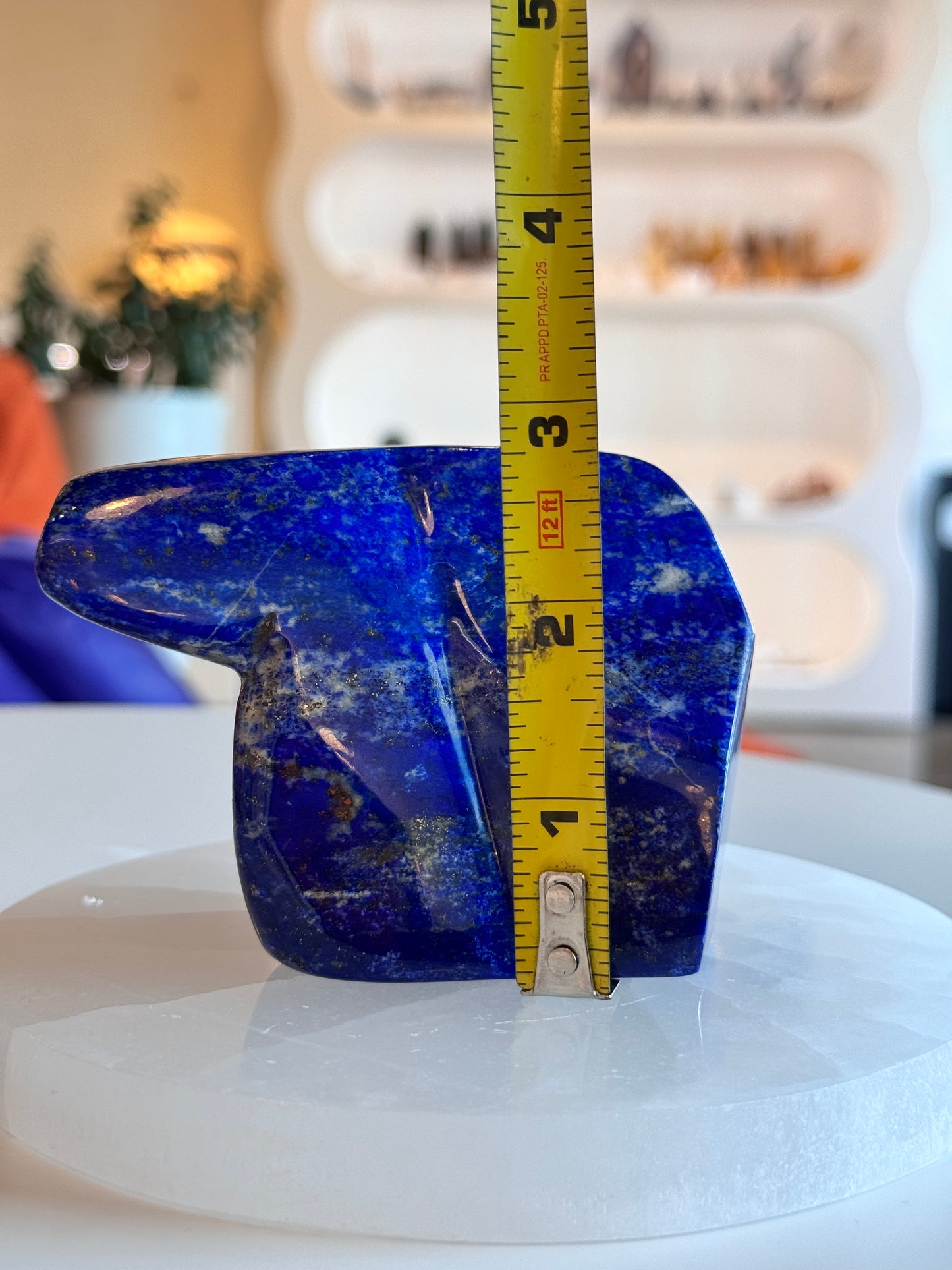 Polished Lapis Lazuli Freeform