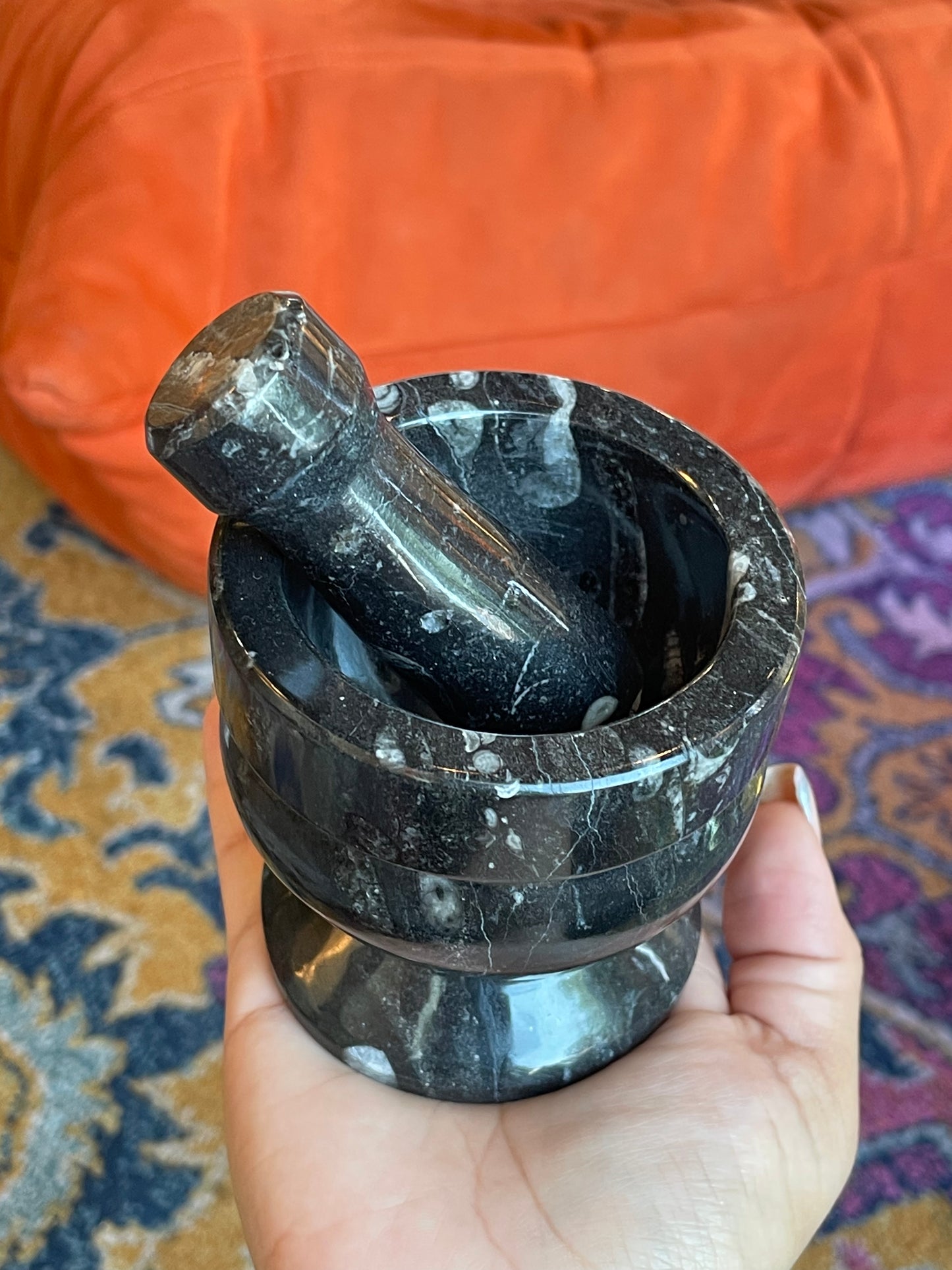 Fossil Mortar and Pestle