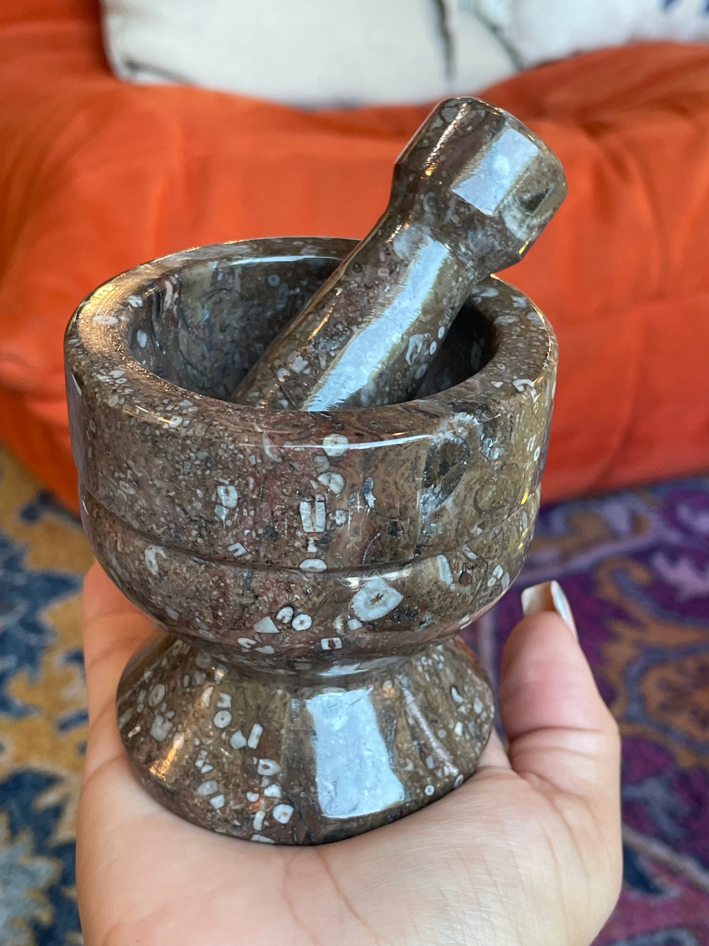 Fossil Mortar and Pestle