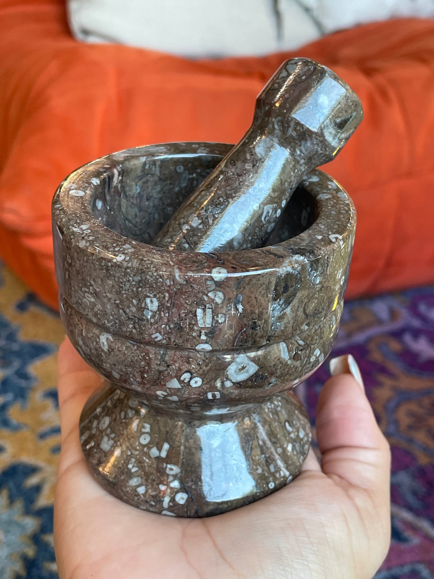 Fossil Mortar and Pestle