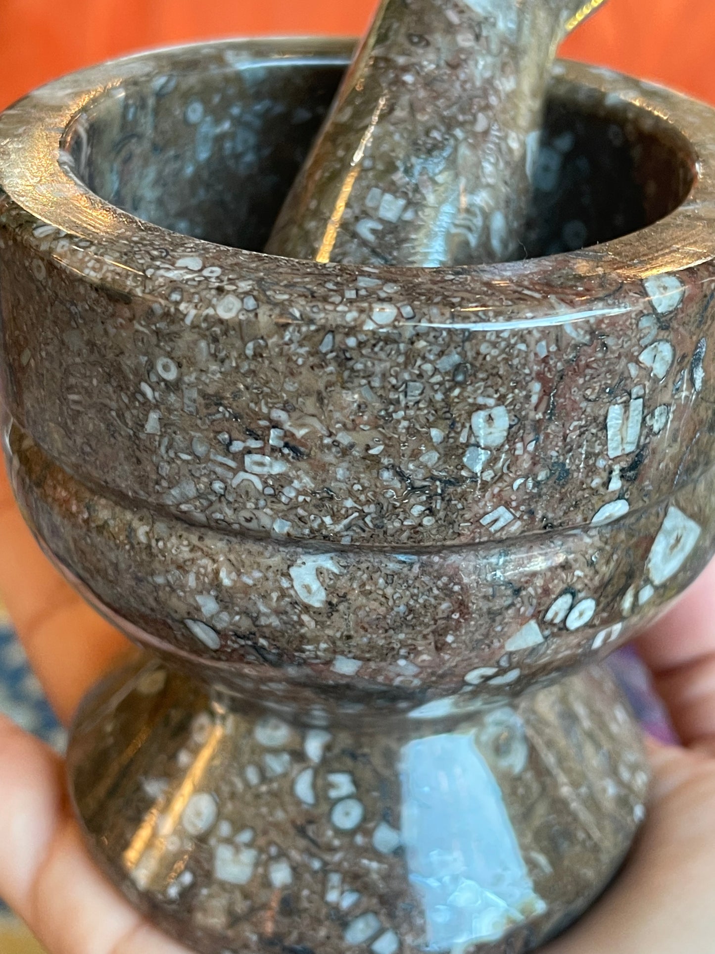 Fossil Mortar and Pestle