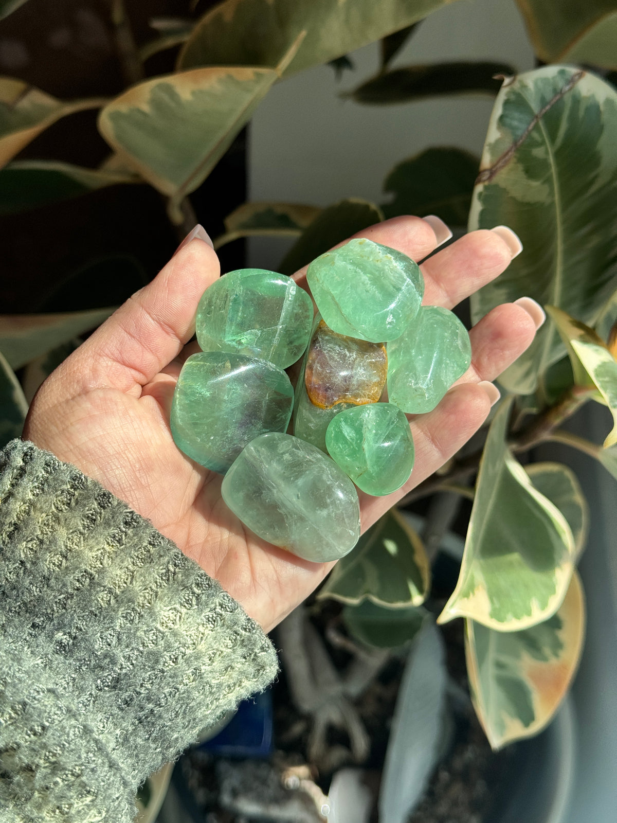 fluorite tumbleds