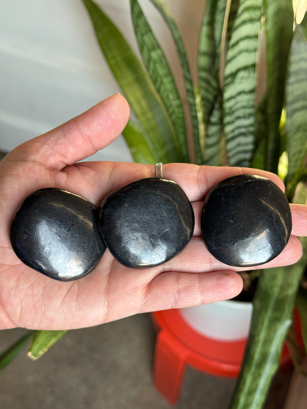 Shungite Disk