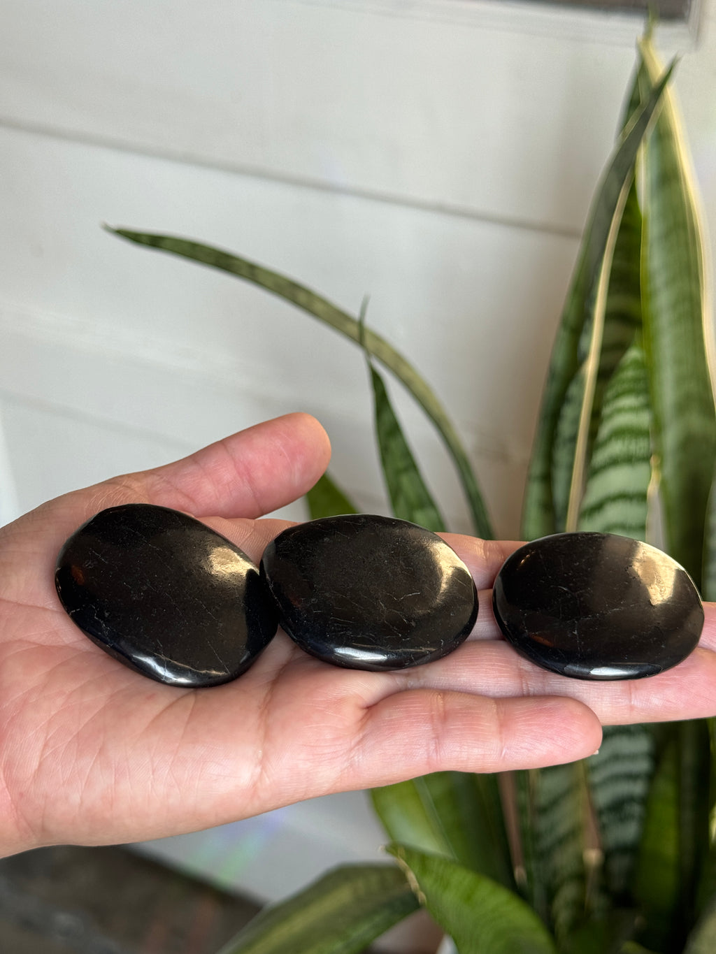 Shungite Disk