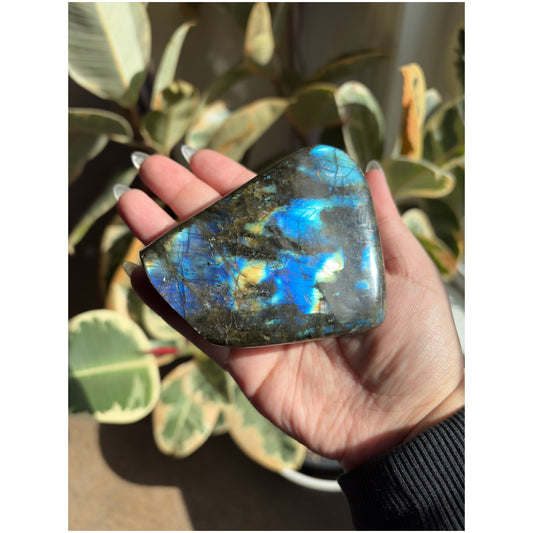Labradorite Freeform O1