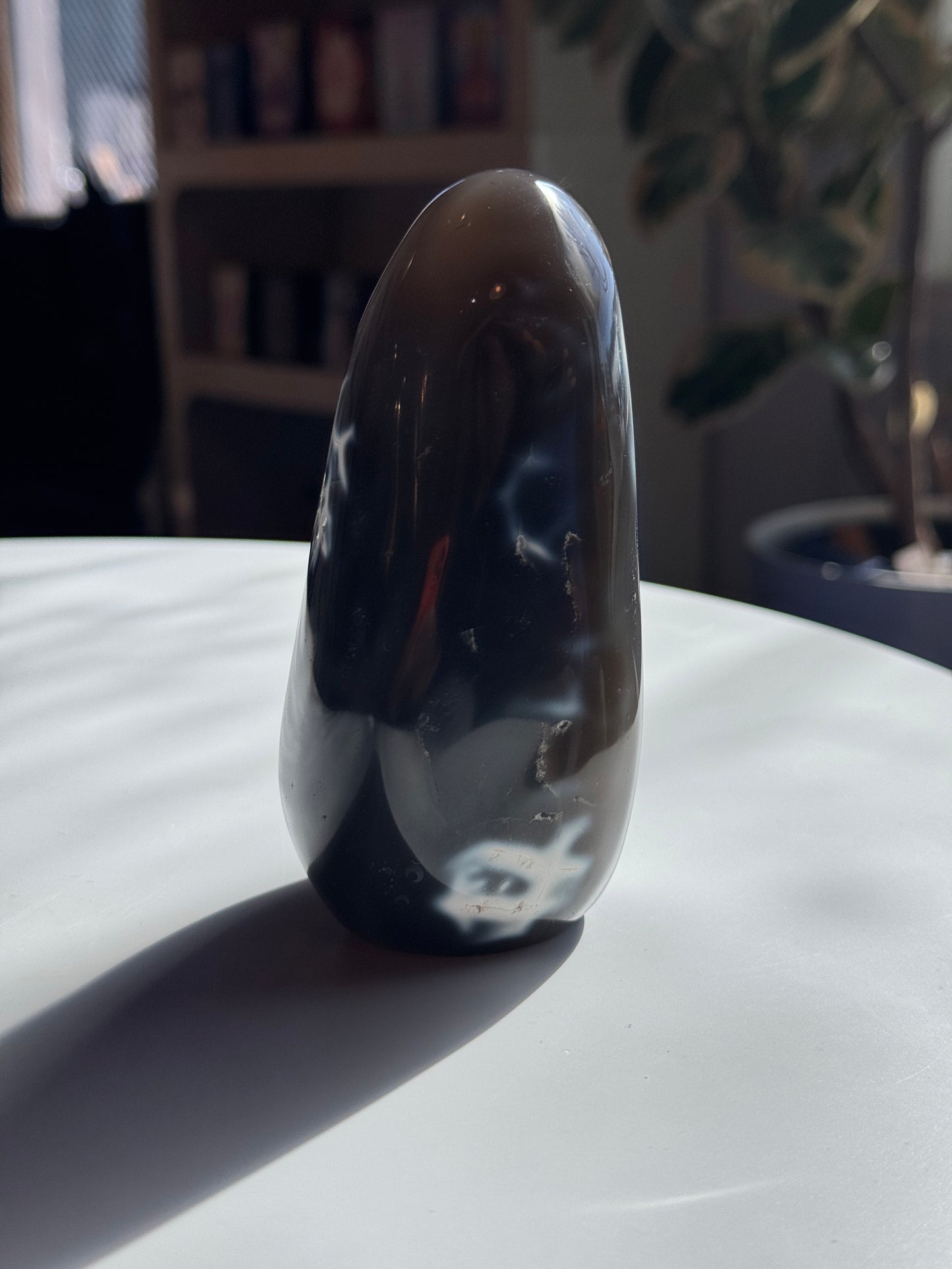Orca Agate Freeform