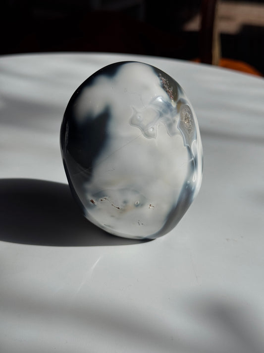 Orca Agate Freeform