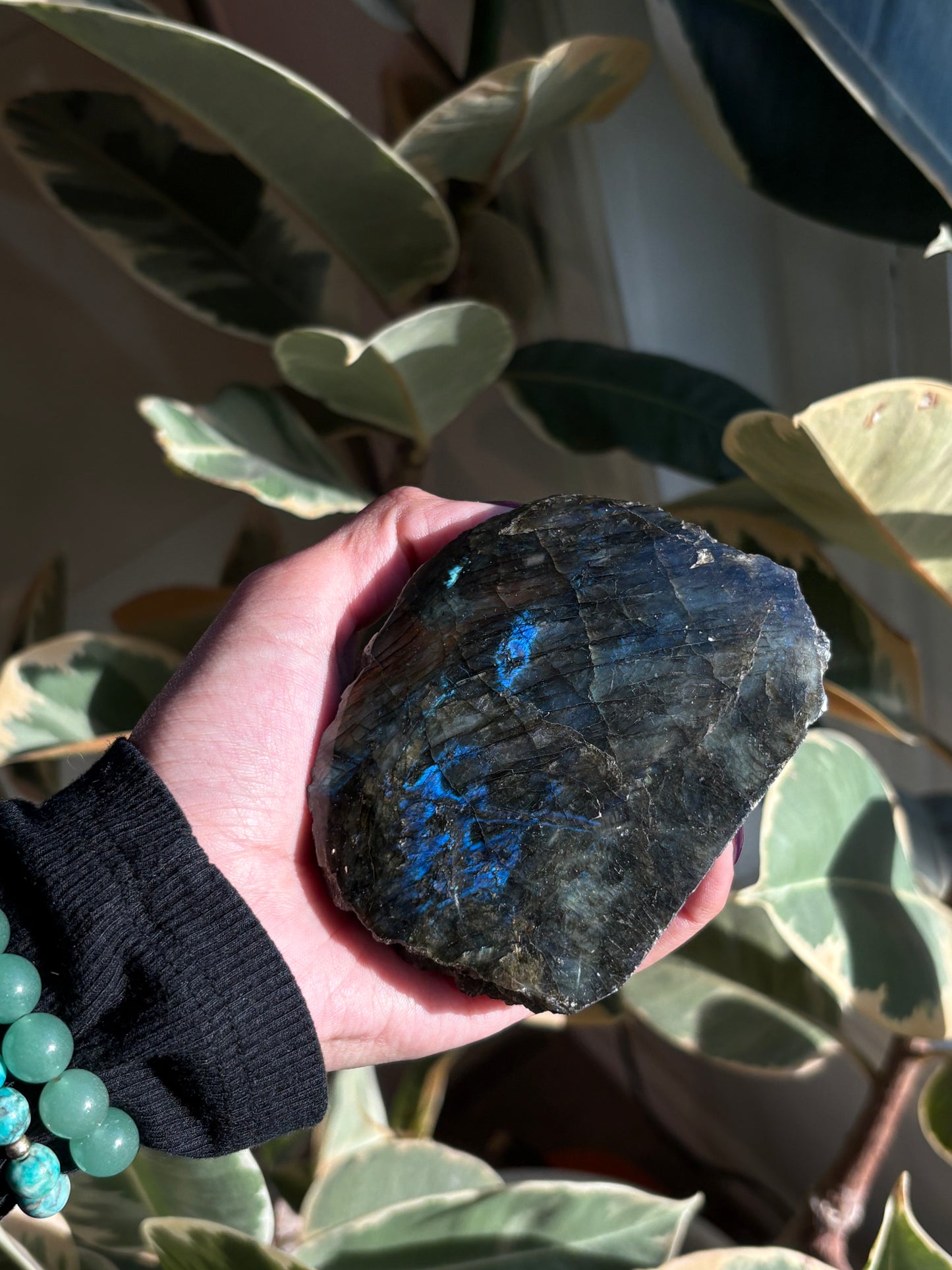 Labradorite Half Polished Freeform