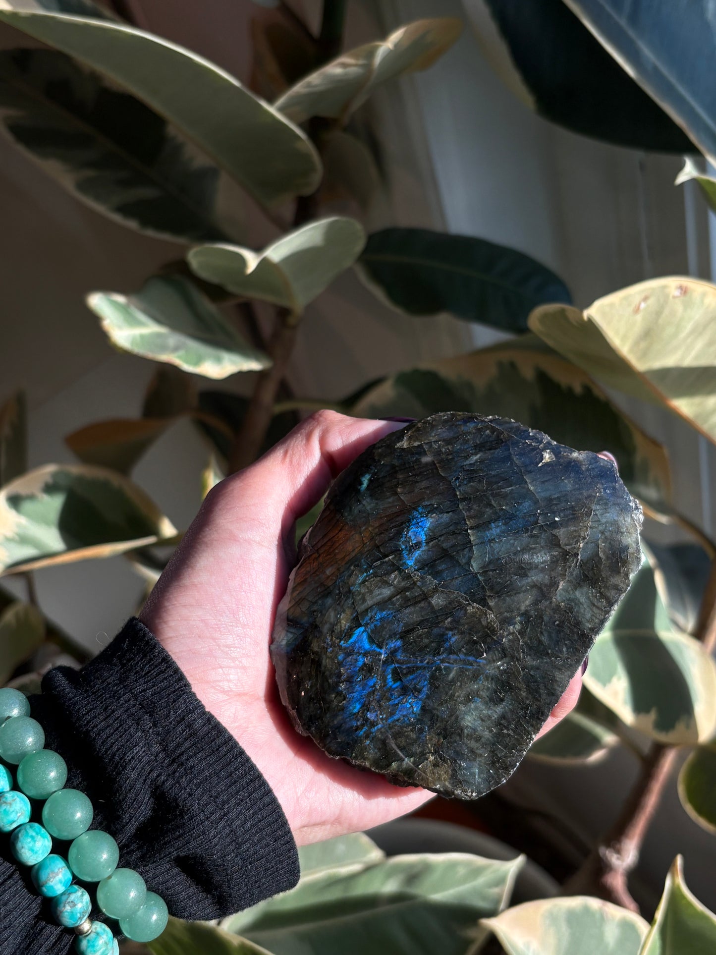 Labradorite Half Polished Freeform