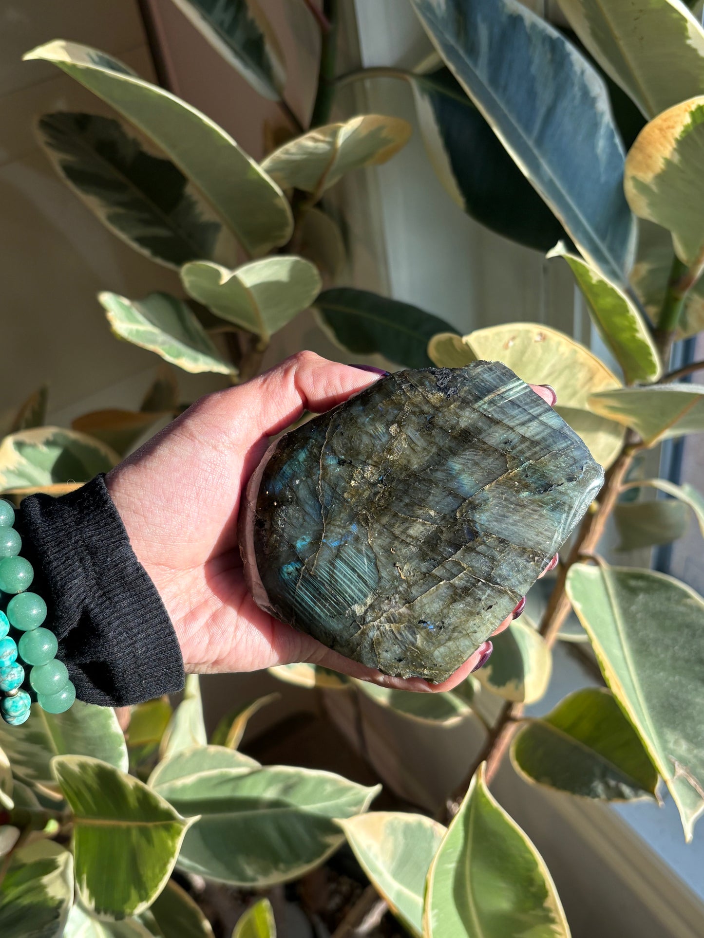 Labradorite Large Half Polished Freeform From Finland