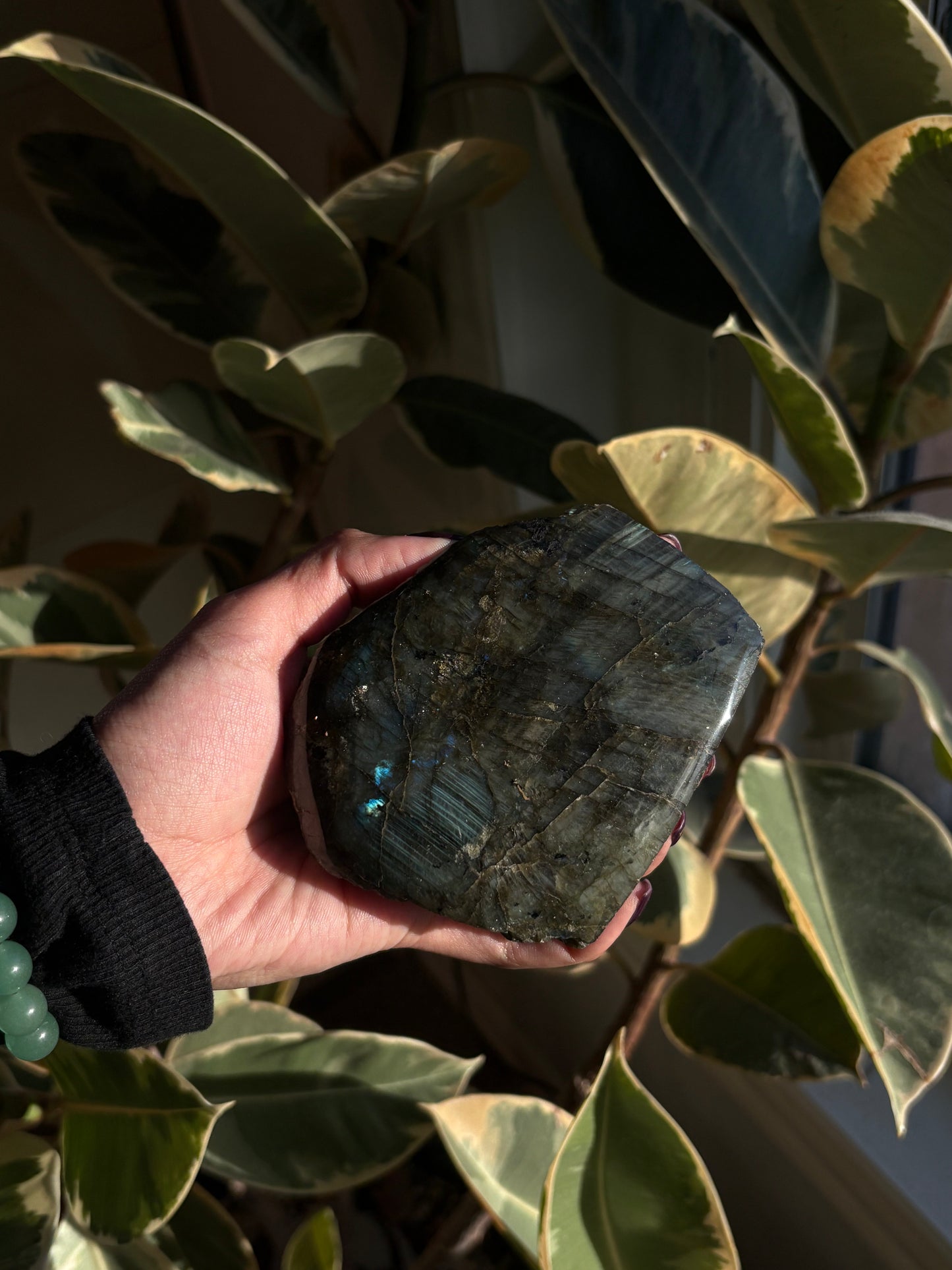 Labradorite Large Half Polished Freeform From Finland