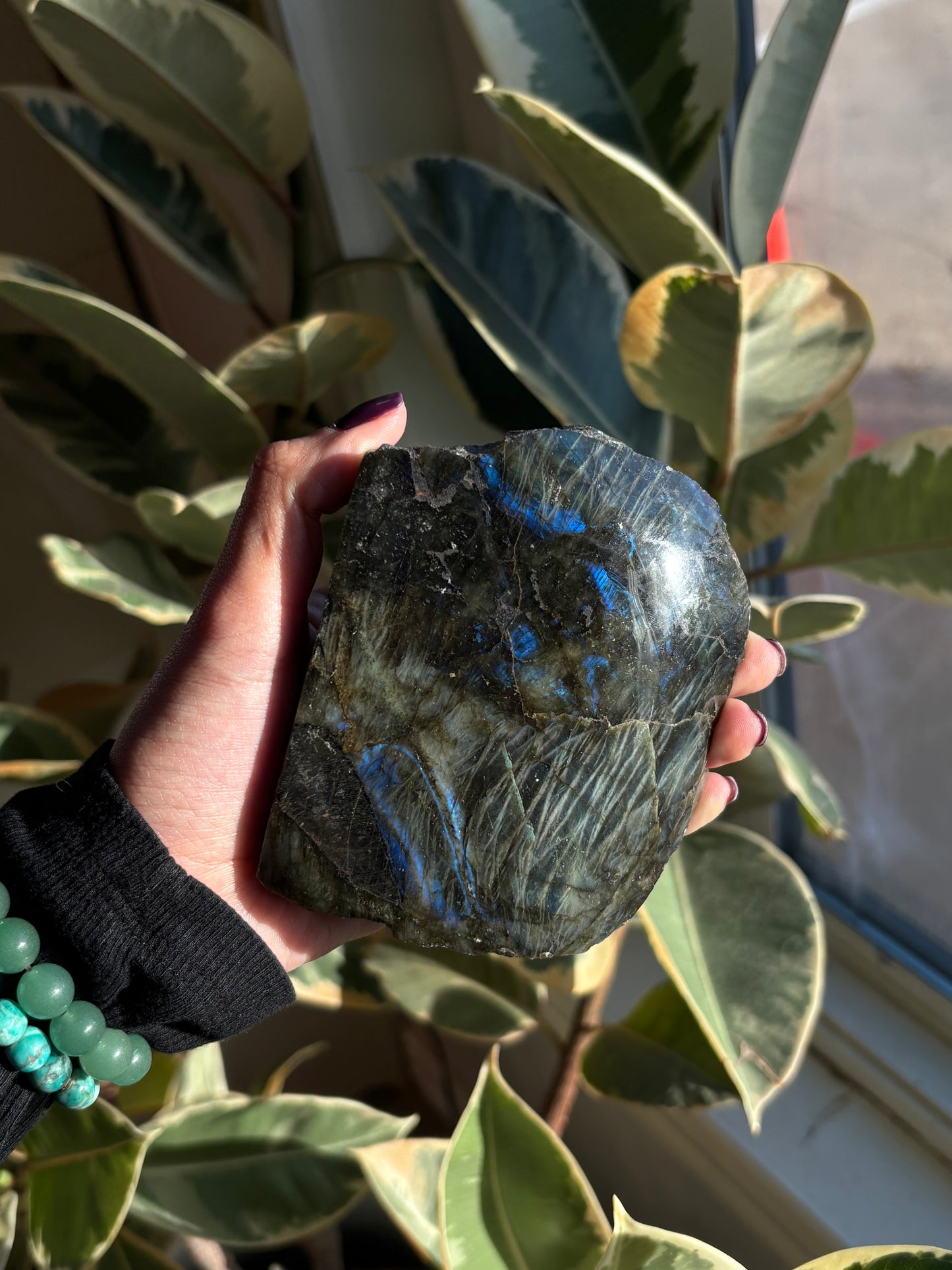 Labradorite Large Half Polished Freeform From Finland