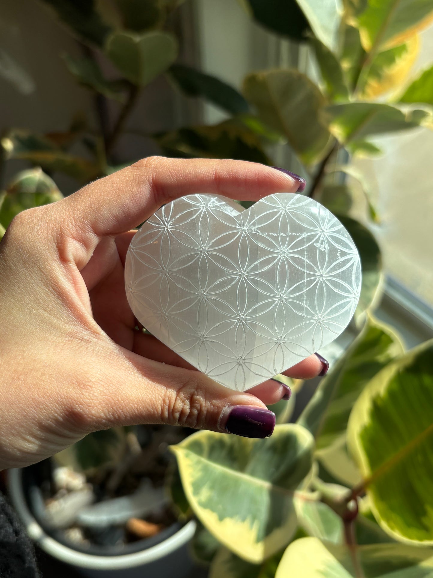 Flower of Life Selenite Heart