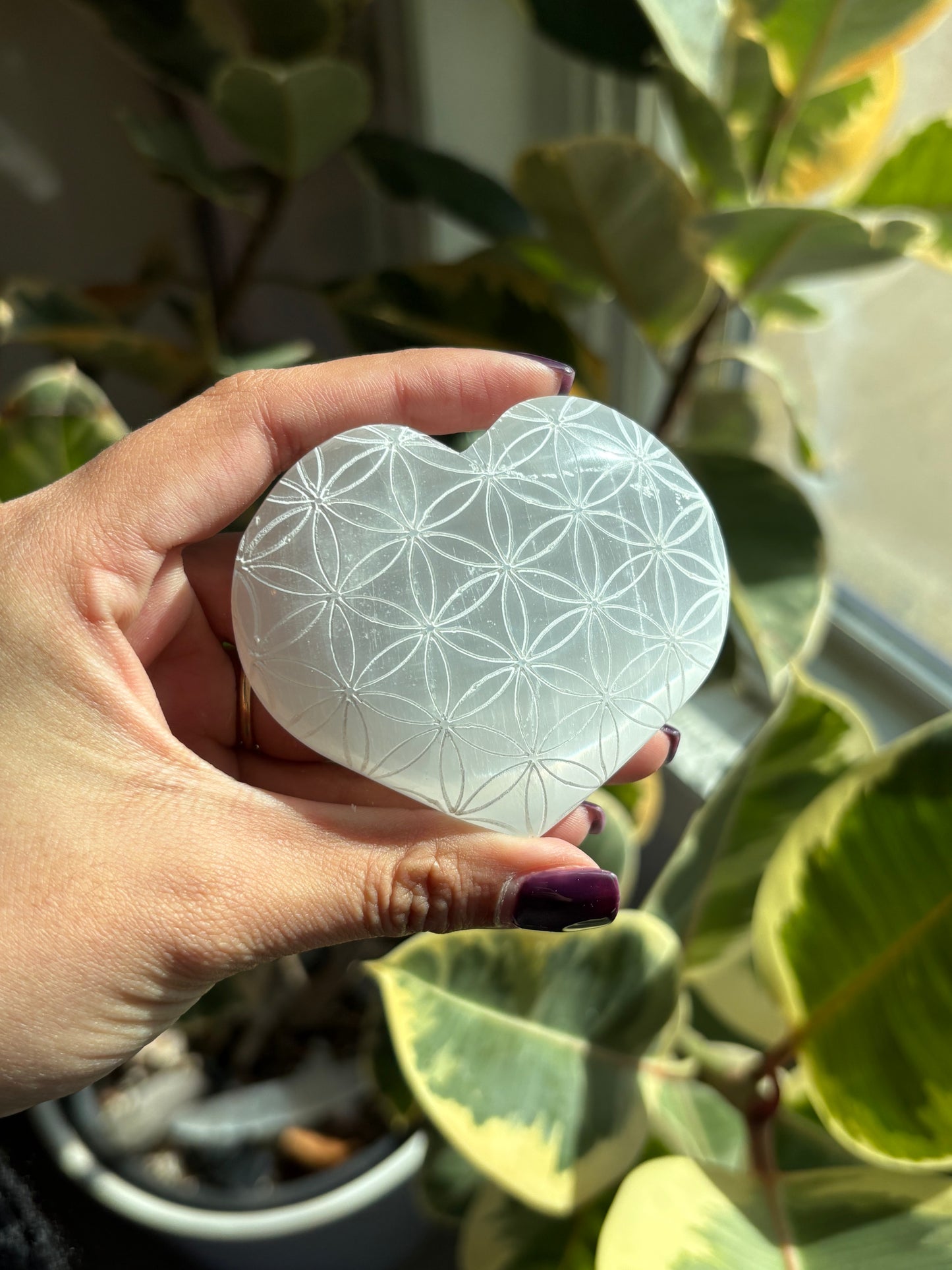 Flower of Life Selenite Heart