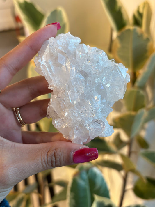Lemurian Quartz Cluster : QC1￼￼