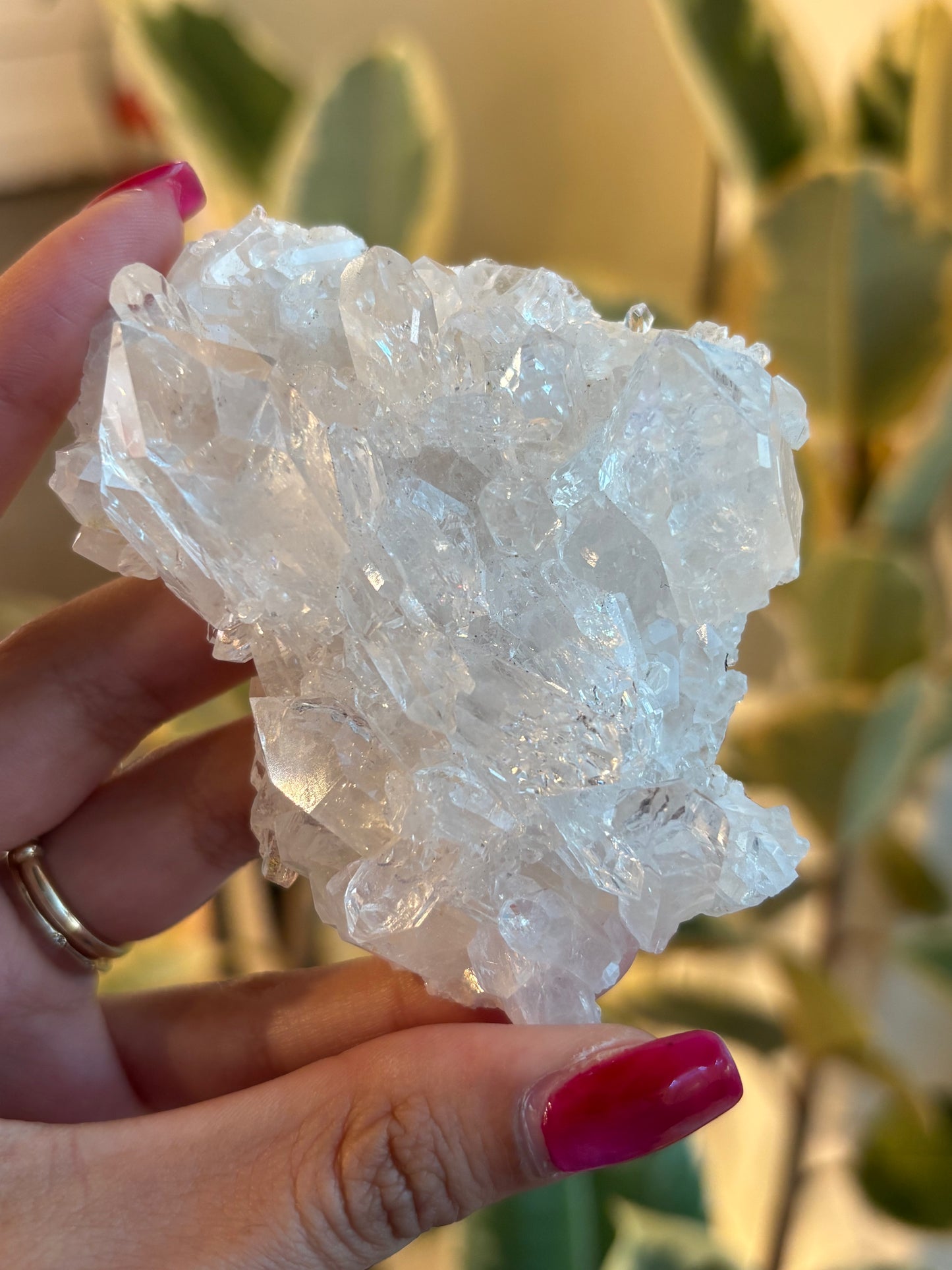 Lemurian Quartz Cluster : QC1￼￼