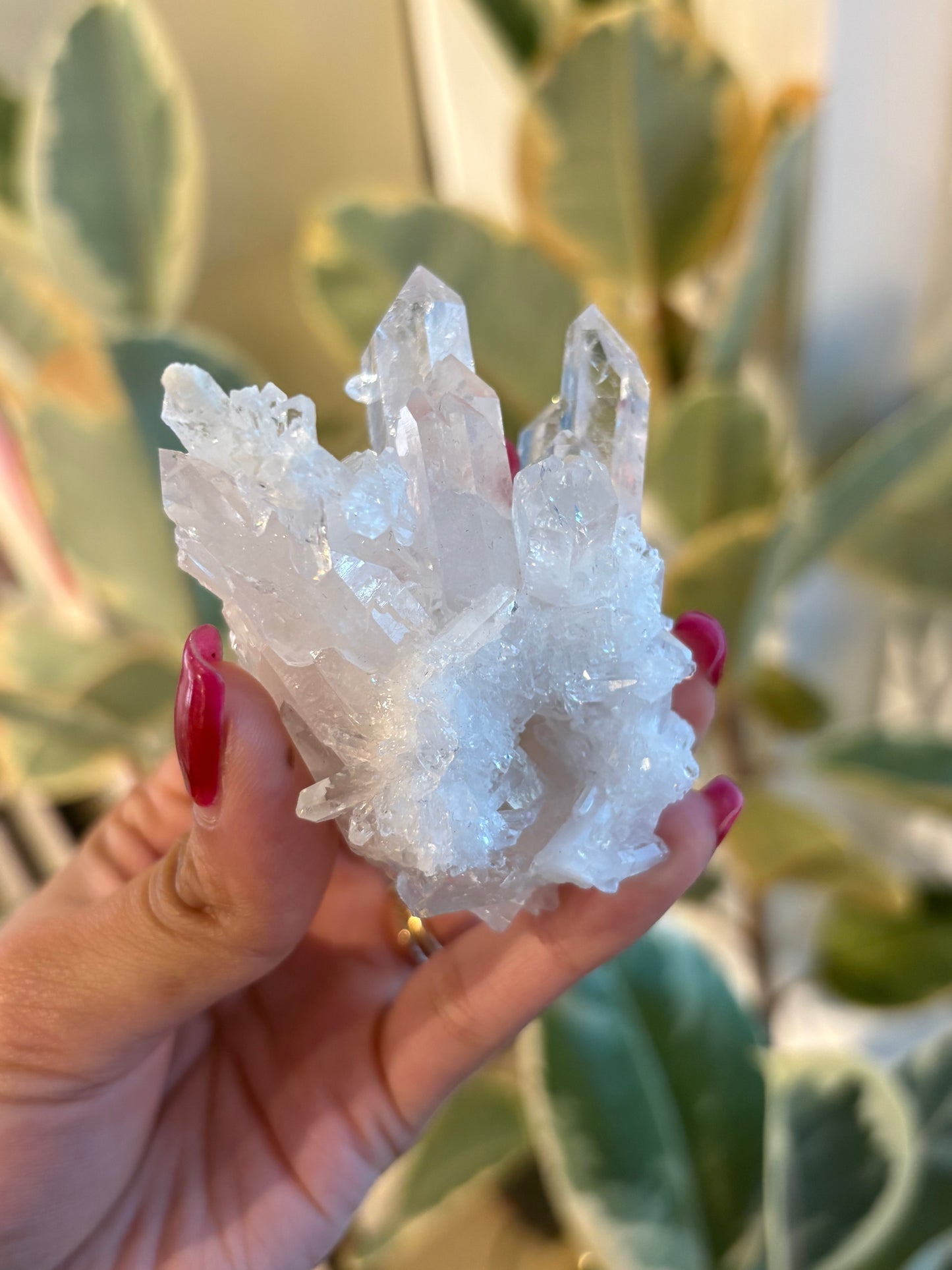 Lemurian Quartz Cluster : QC4￼