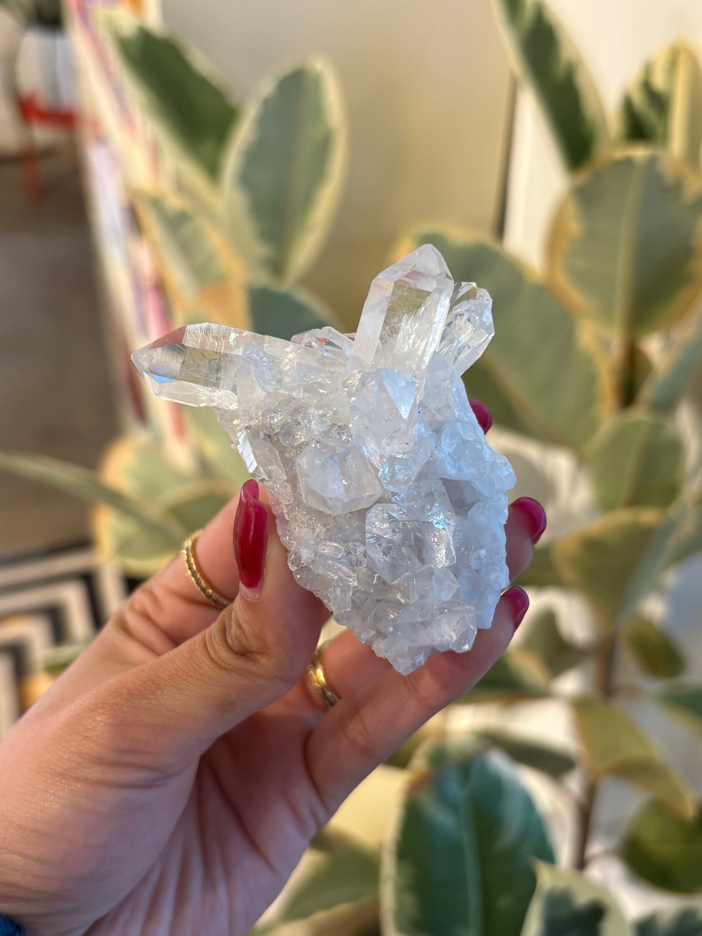 Lemurian Quartz Cluster : QC2