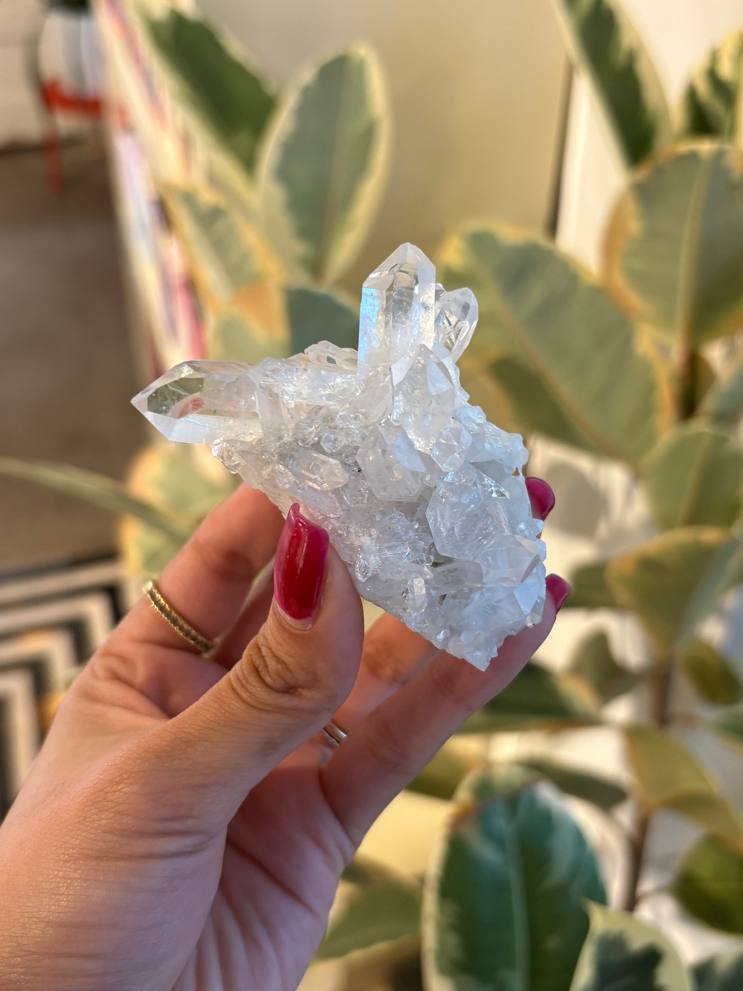 Lemurian Quartz Cluster : QC2