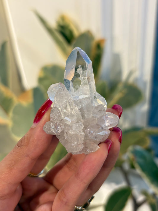Lemurian Quartz Cluster : QC6