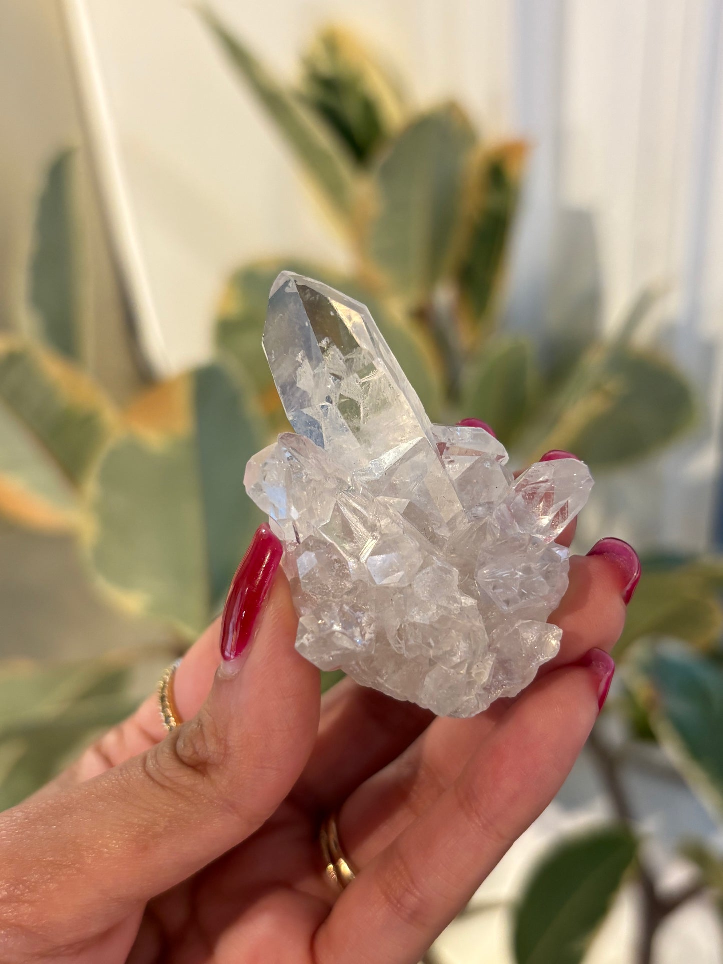 Lemurian Quartz Cluster : QC6